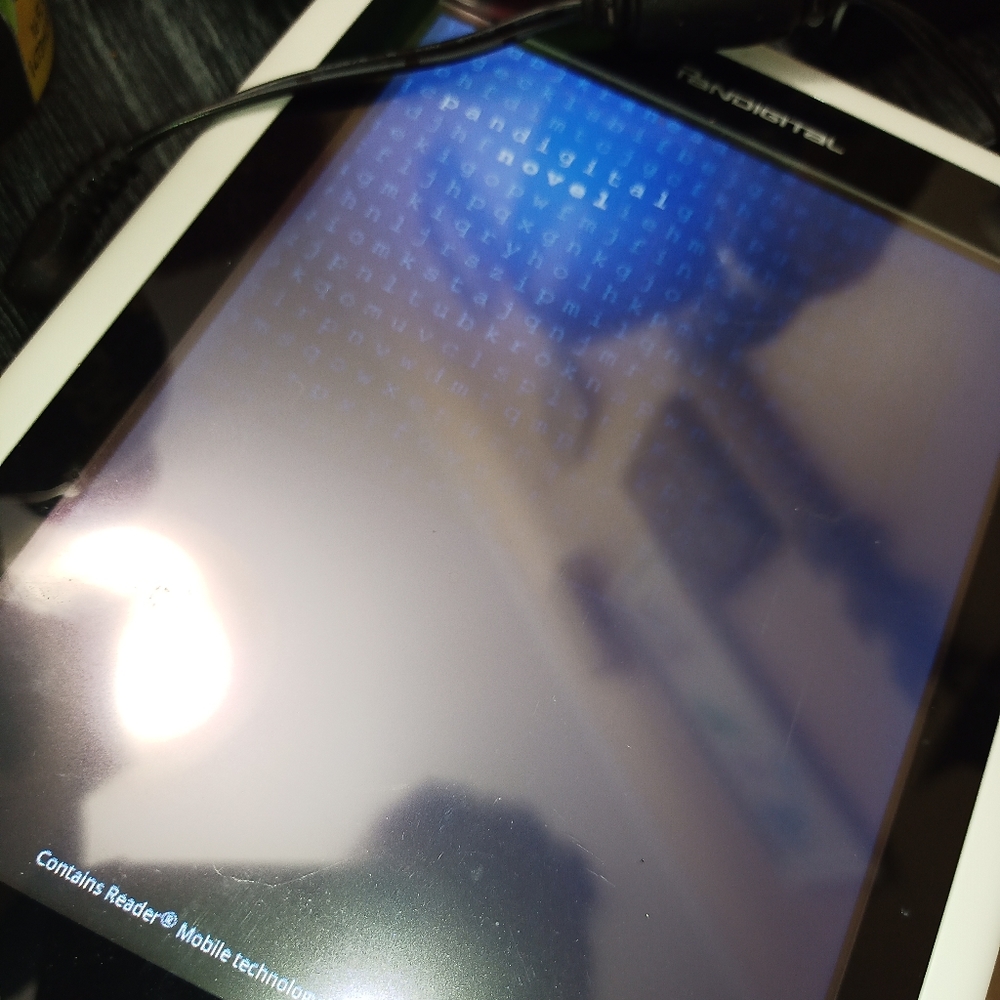 Pandigital novel